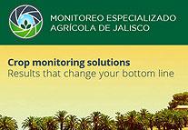 Web Development | monitoreo especializado agricola de jalisco - Thumb